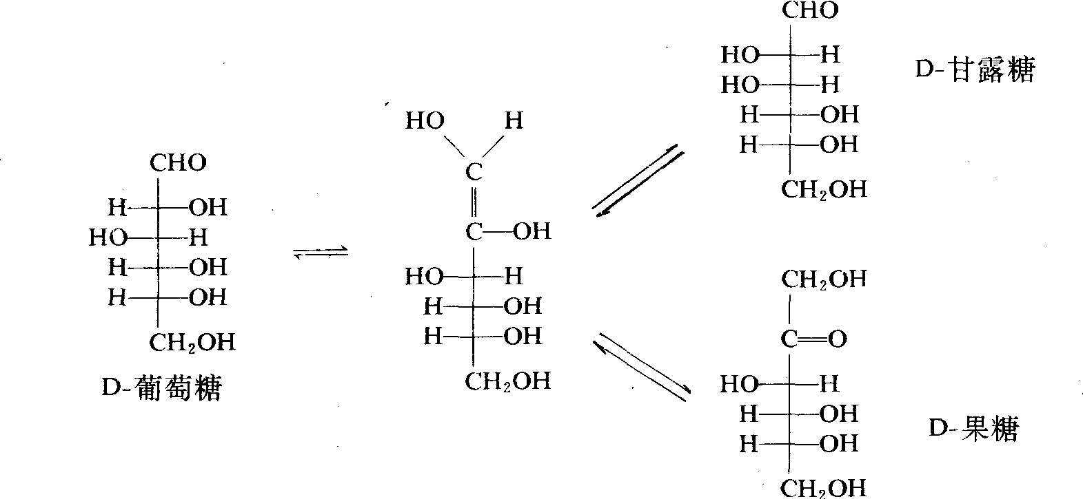 多羟基醛,绝大多数单糖都是醛糖以丁醛糖,戊醛糖,己醛糖最为常见