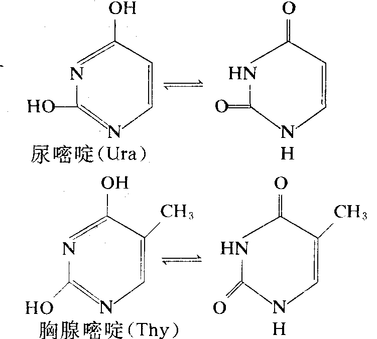 嘧啶