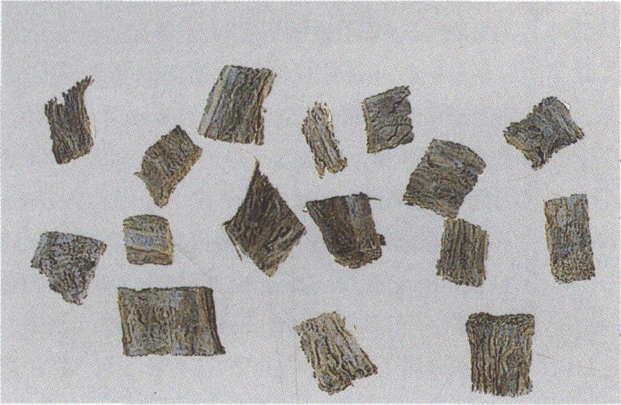 11. 葛根