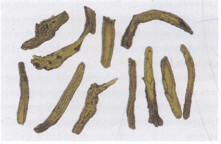 17. 黃芩