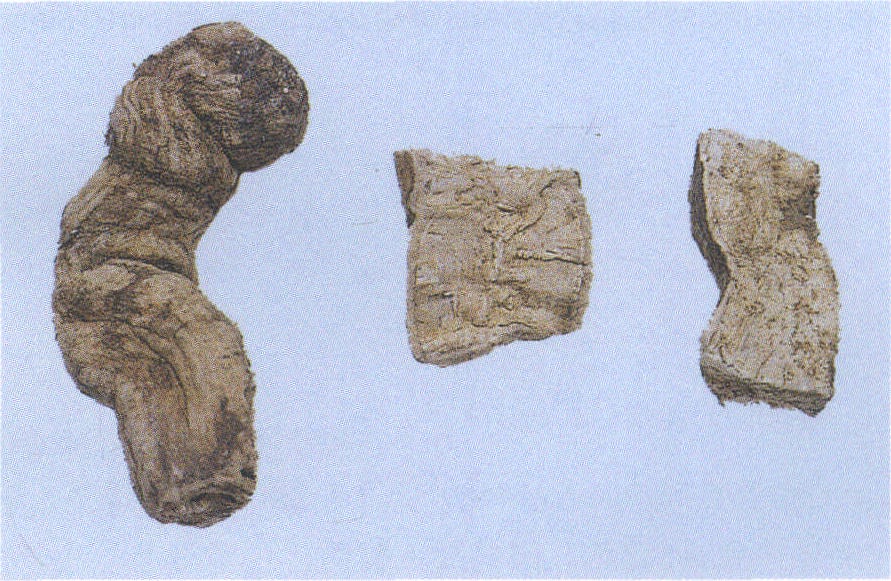 43. 防己