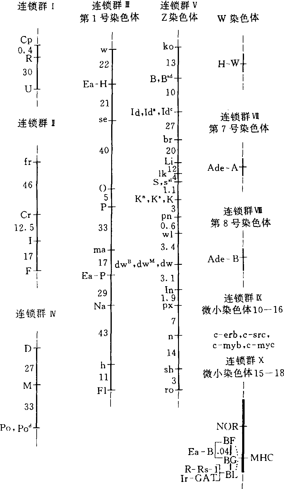 基因图谱