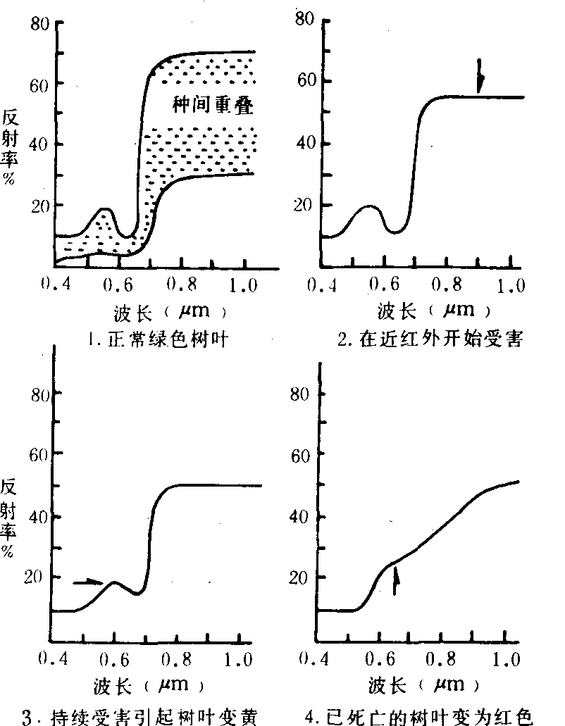 森林病虫害遥感