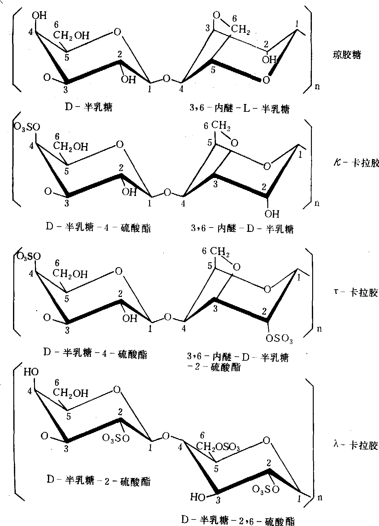 藻胶