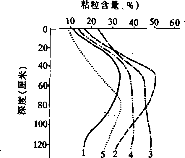 黄棕壤