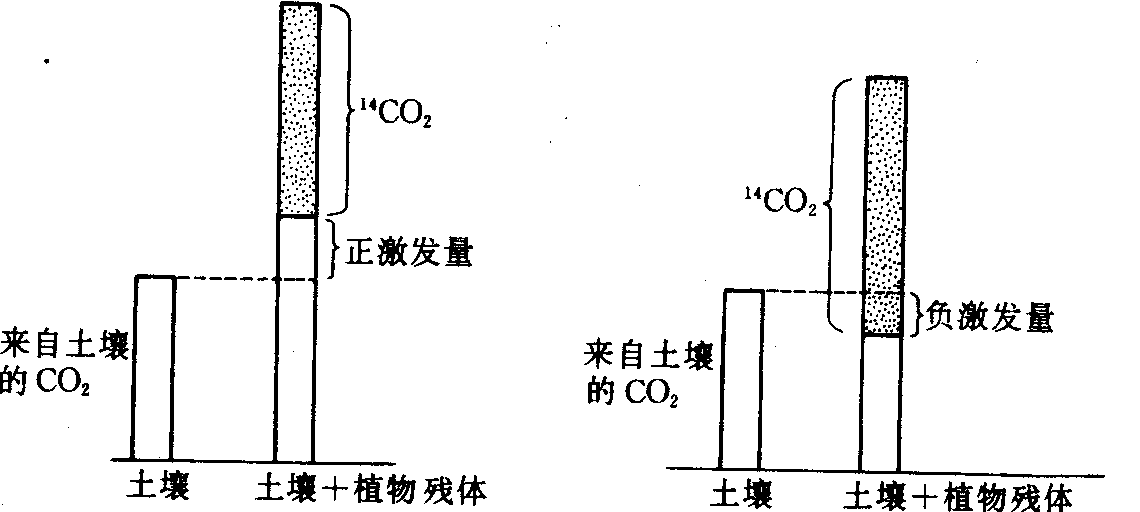 激发效应