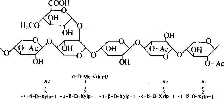 半纤维素