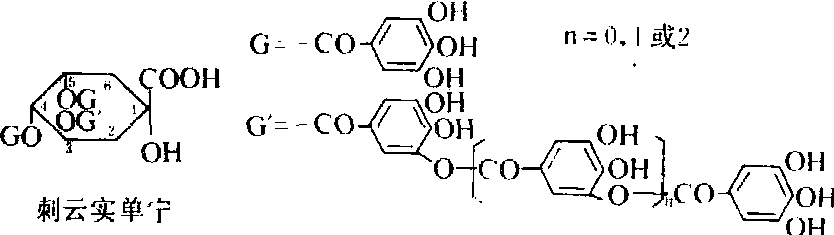 植物单宁