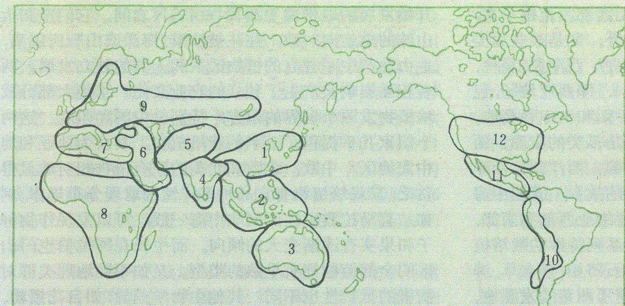 栽培果树起源