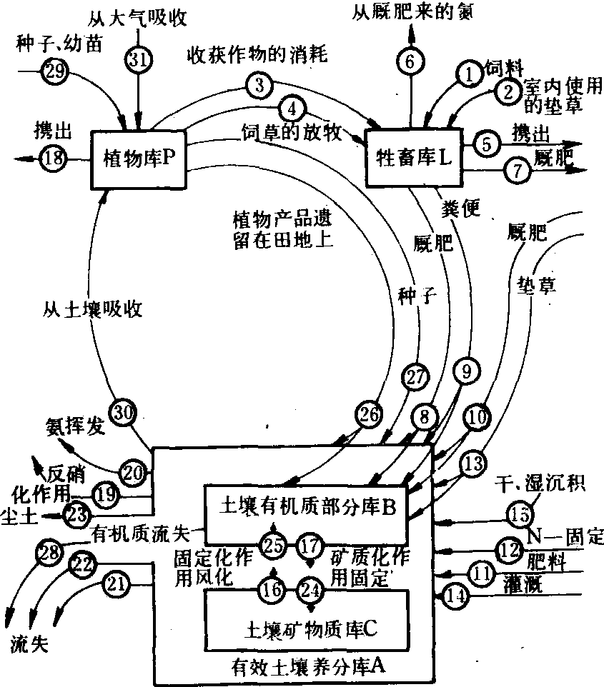 农田生态系统