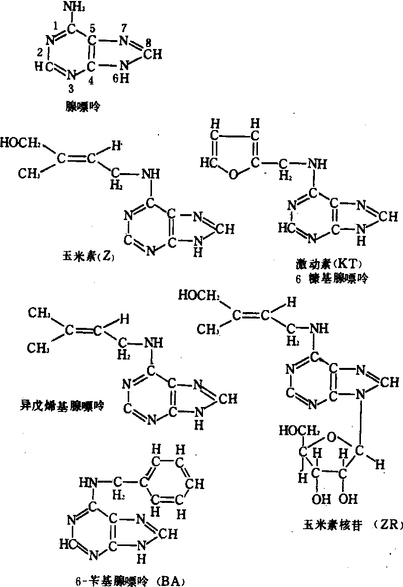 细胞分裂素