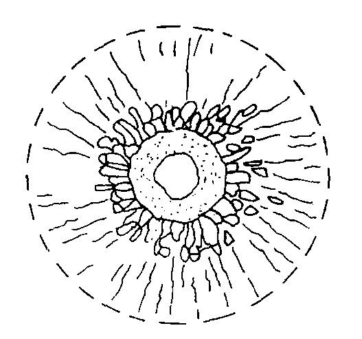 acting range of blasting