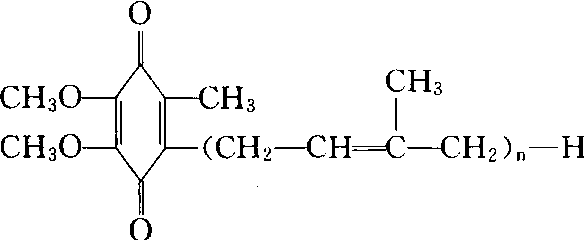 氮氢三的电子式图片