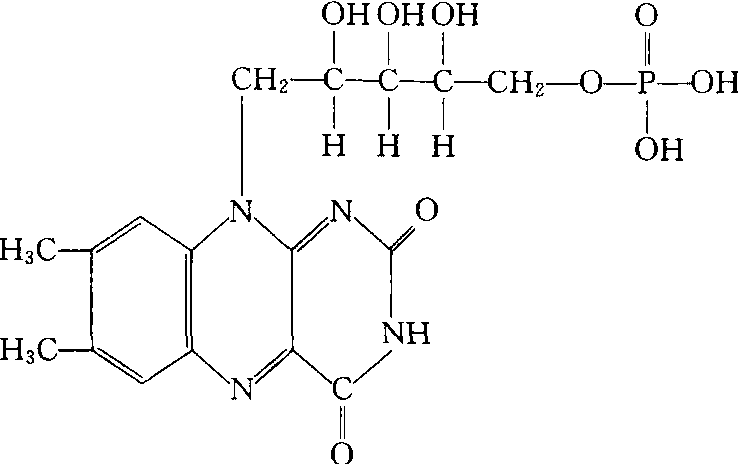 黄素单核苷酸