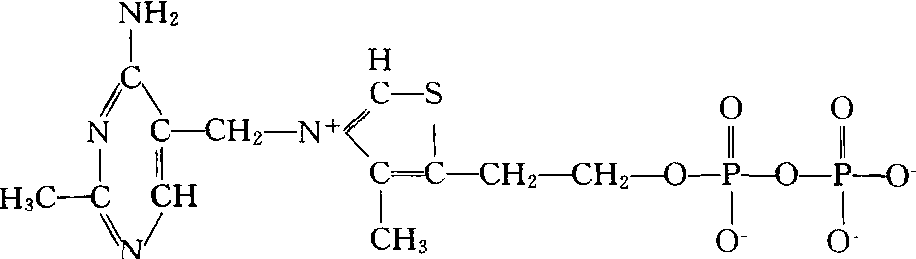 硫胺素焦磷酸酯图片