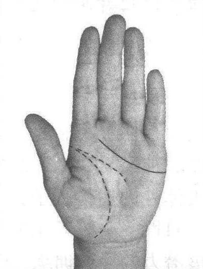 3.四指掌褶纹线