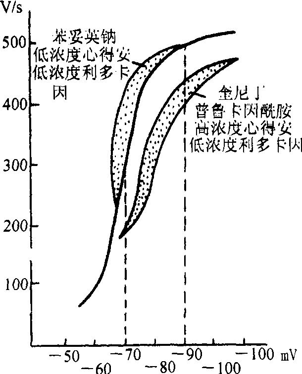 第四節(jié) 傳導性