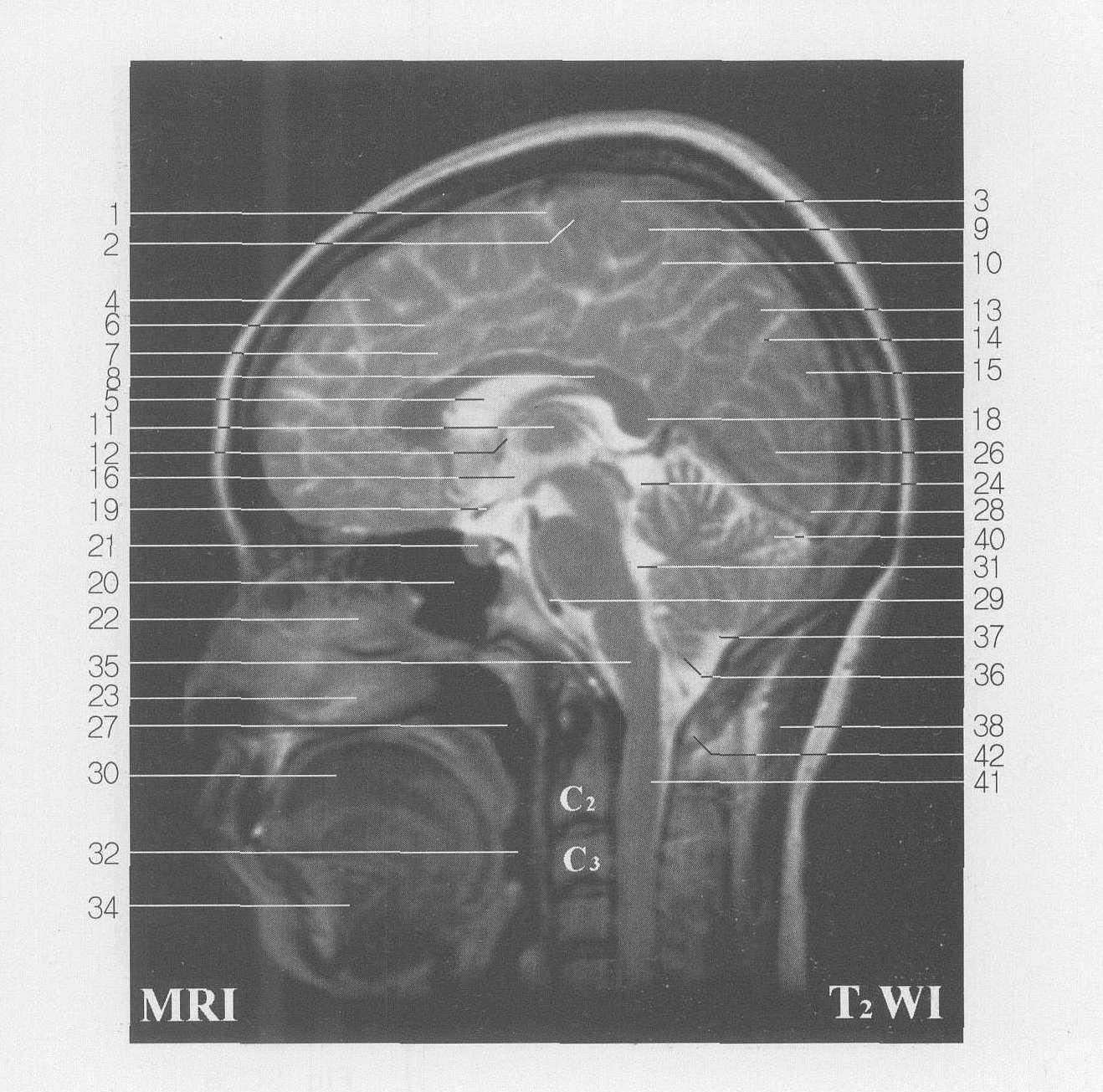 Fig SC 7