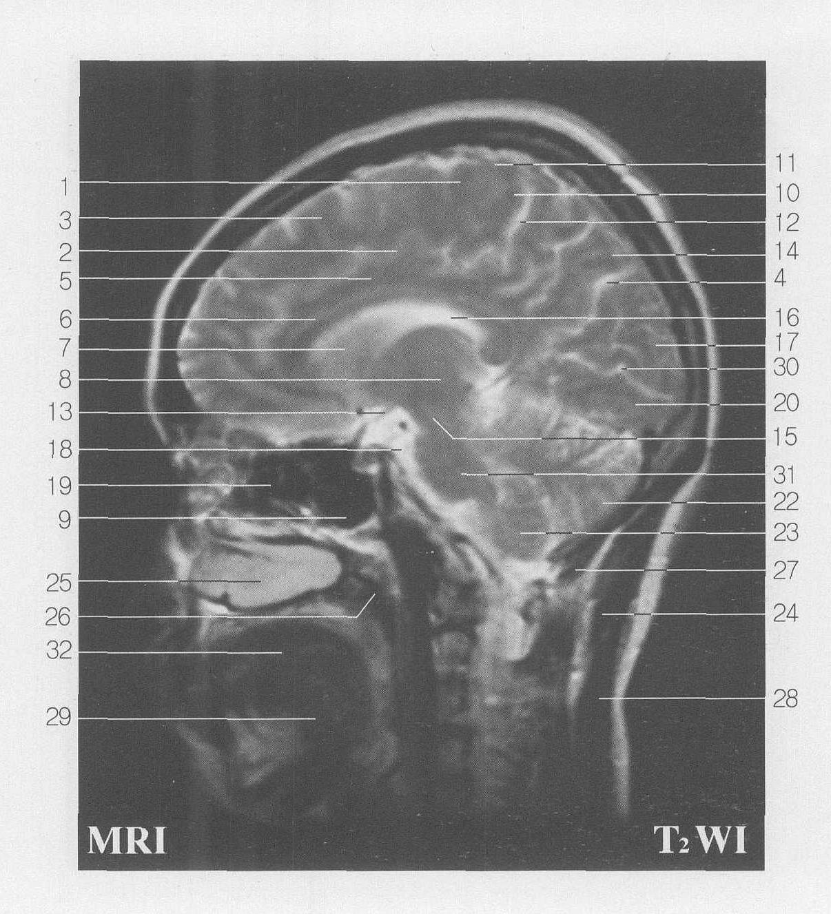 Fig SC 8