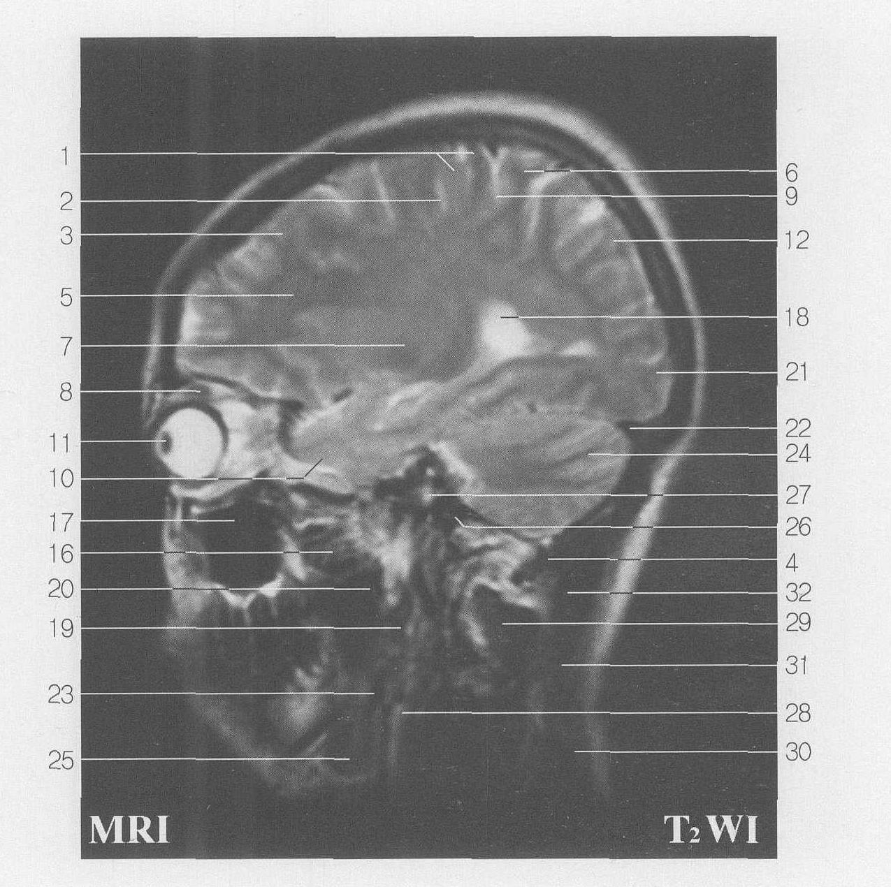Fig SC 10