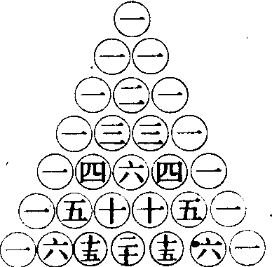 杨辉三角现实图片