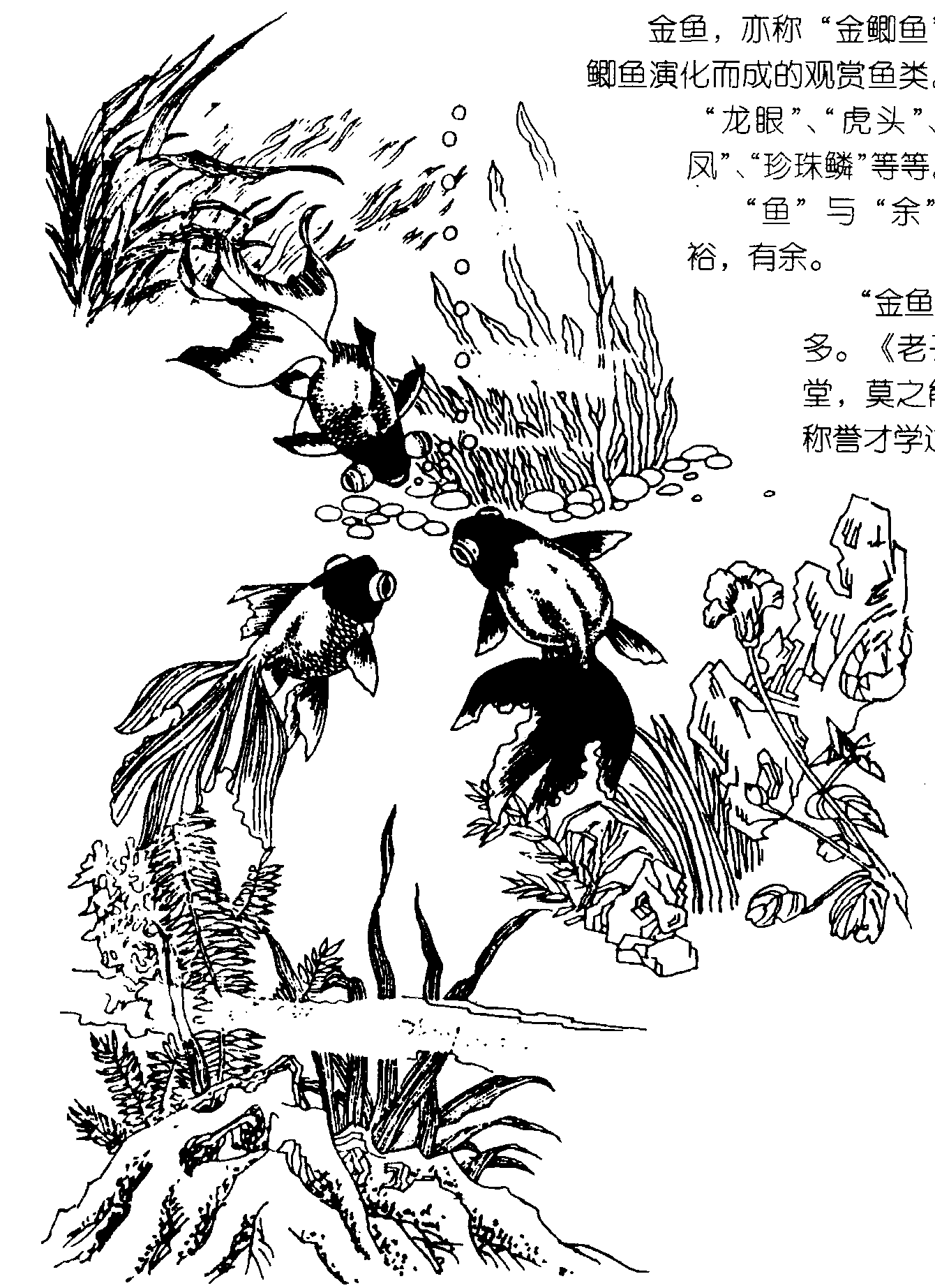 金玉满堂