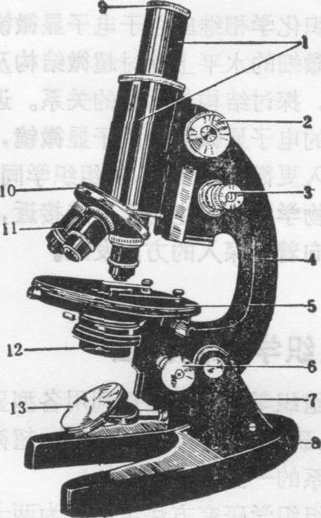 普通光学显微镜