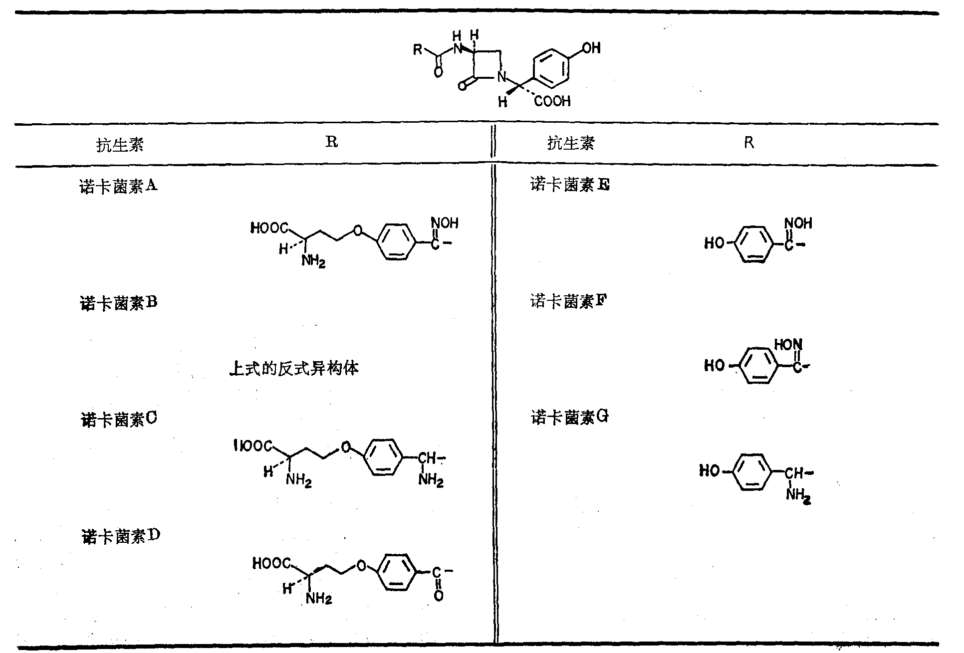 单环β内酰胺类抗生素