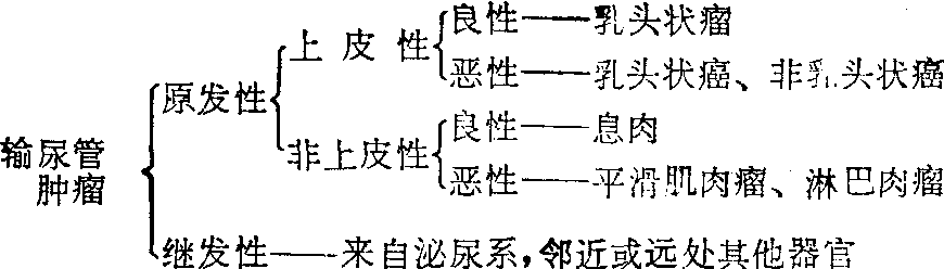 輸尿管腫瘤