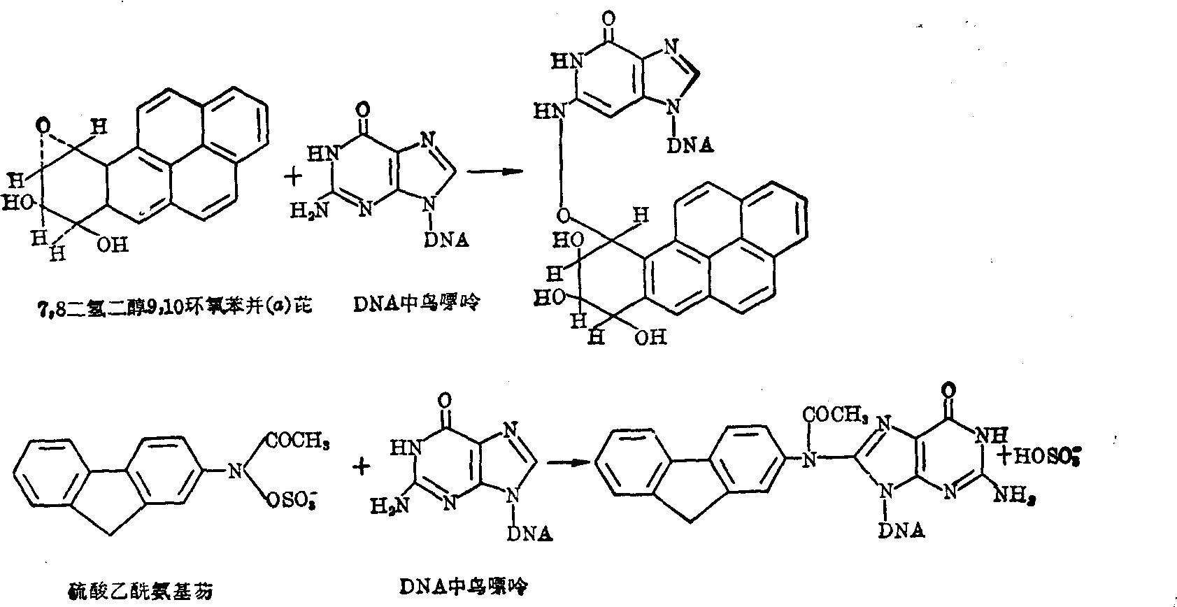 分子毒理学