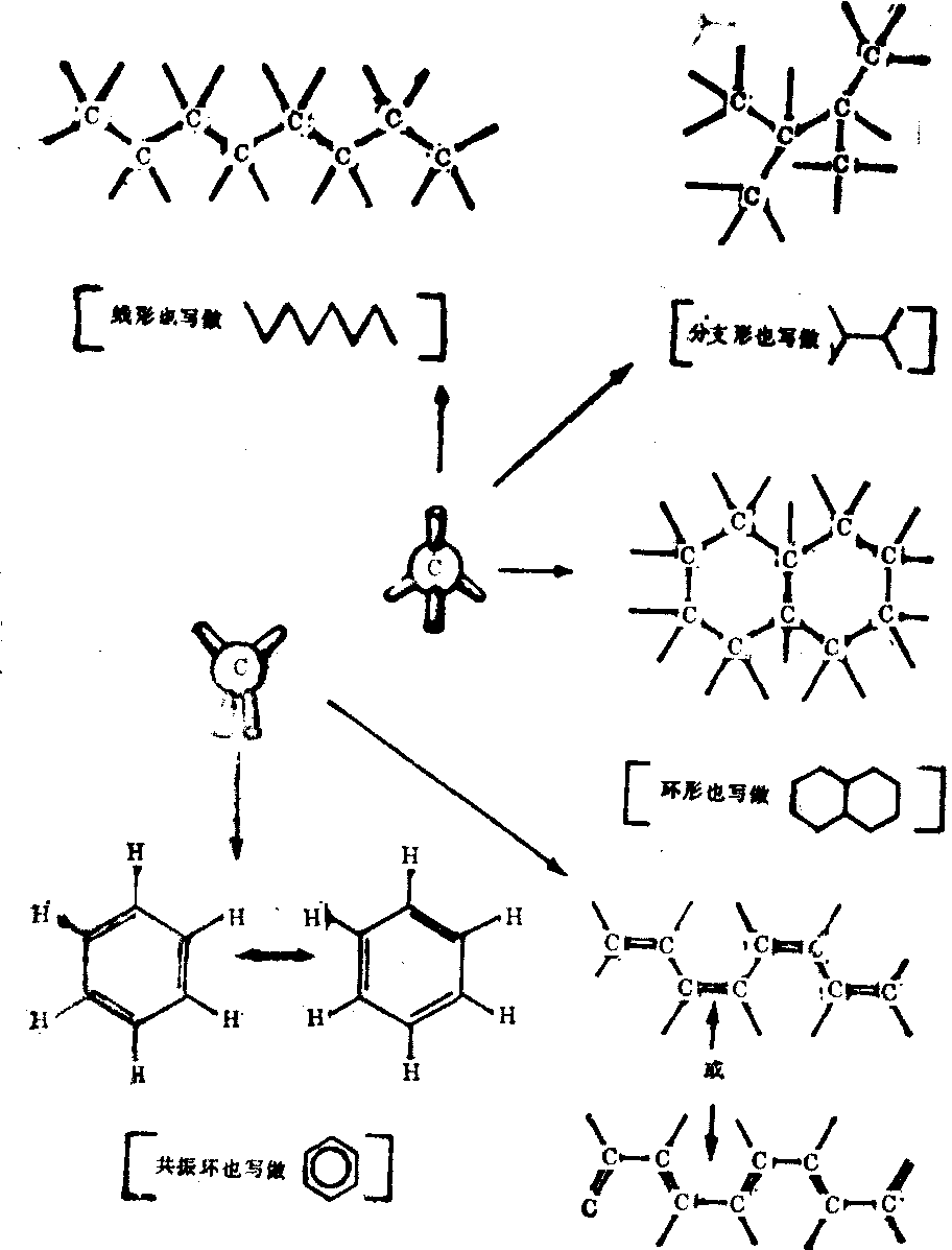 细胞的化学组成