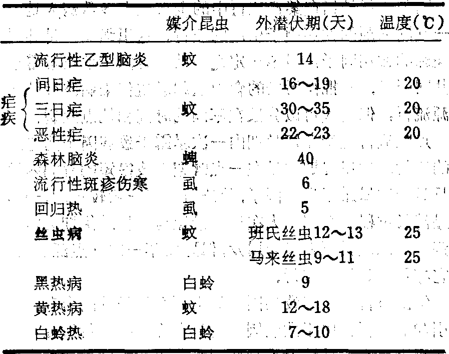 外潛伏期