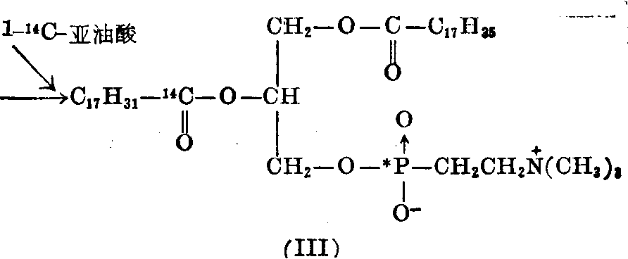 放射性核素標(biāo)記物的生物合成