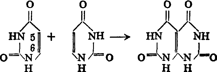 量子生物学