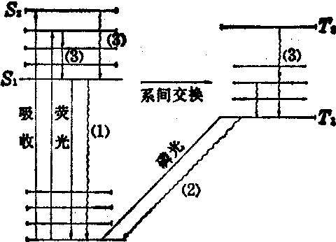 生物大分子的激发态