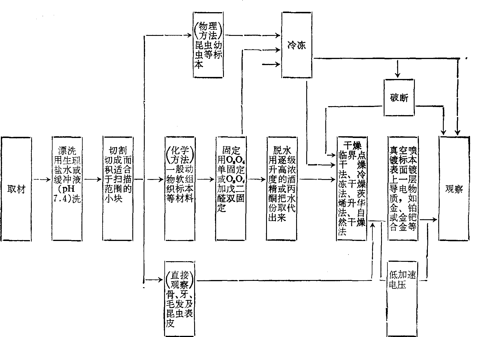 电子显微镜