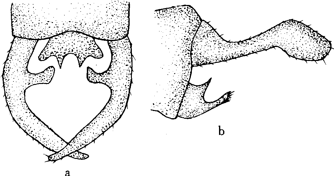 ODONATA:AESCHNIDAE，GOMPHIDAE，LIBELLU-LIDAE，AGRIIDAE，EPALLAGIDAE，COENAGRIIDAE， PLATYCNEMIDIDAE，MEGAPODAGRIIDAE，LESTIDAE AND SYNLESTIDAE