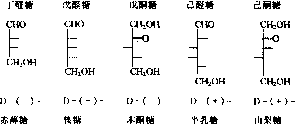 不能水解为更小分子的糖类称为单糖如葡萄糖,果糖等