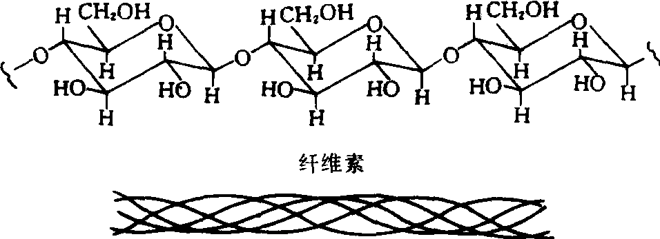 34纤维素