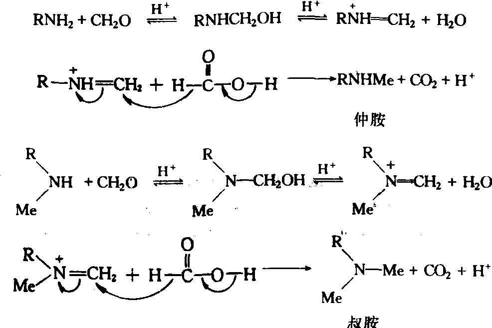 (57)EschweilerClarke 反应