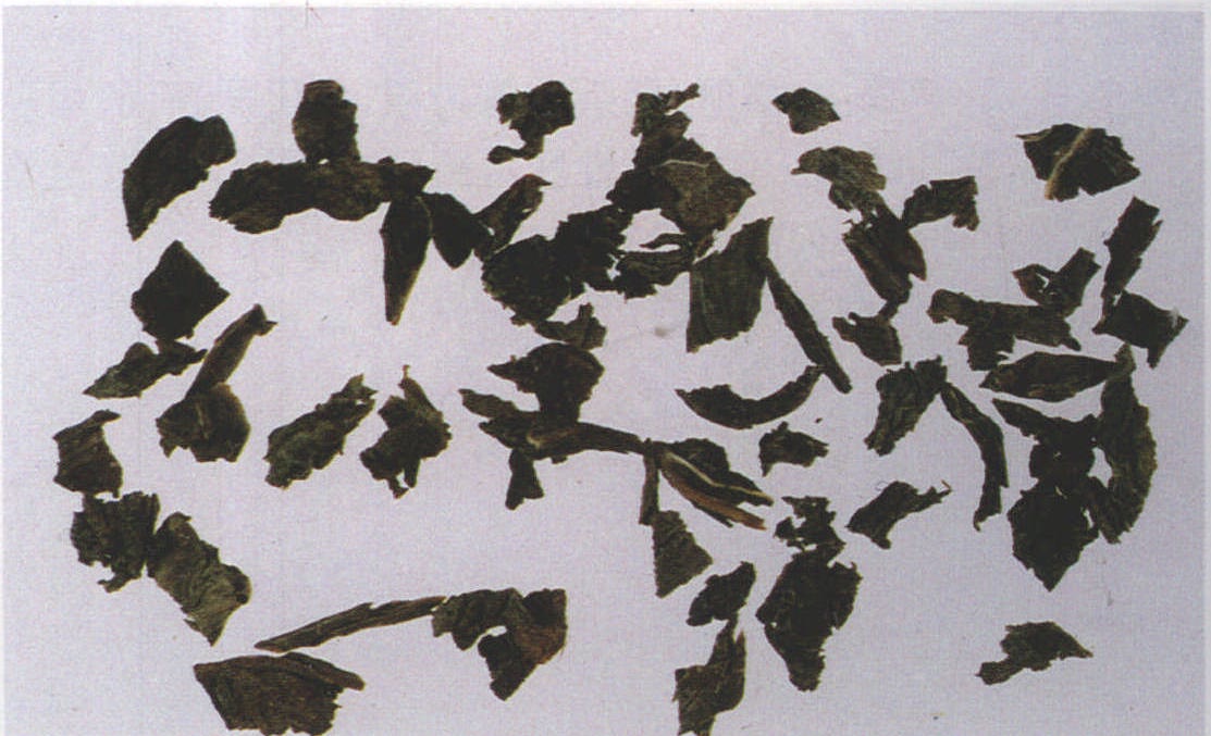 6.八仙花(甘茶)