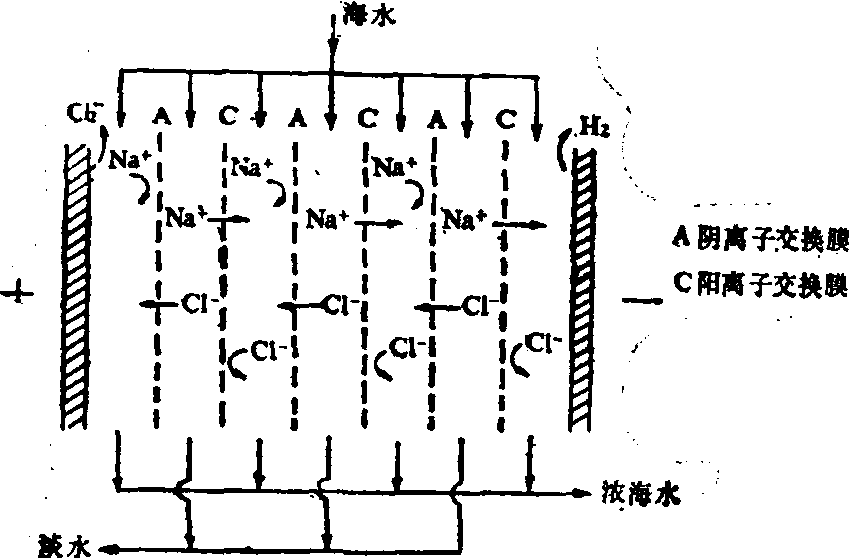 电渗析法原理图片