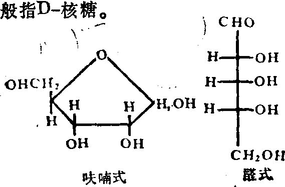 核糖结构式链式图片