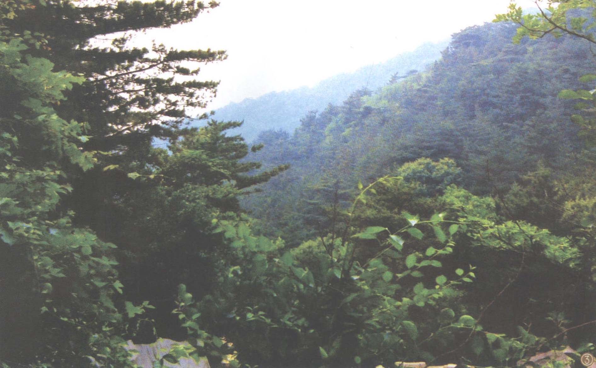 金龙寺国家森林公园