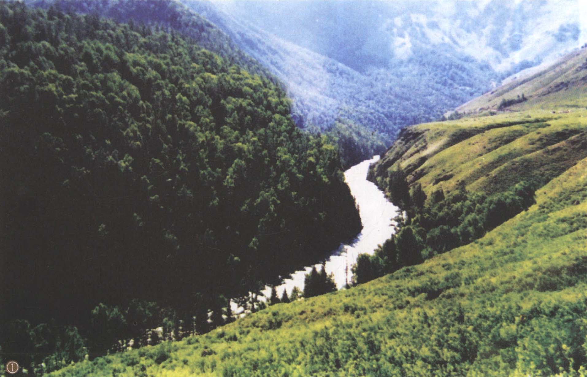 贾登峪国家森林公园