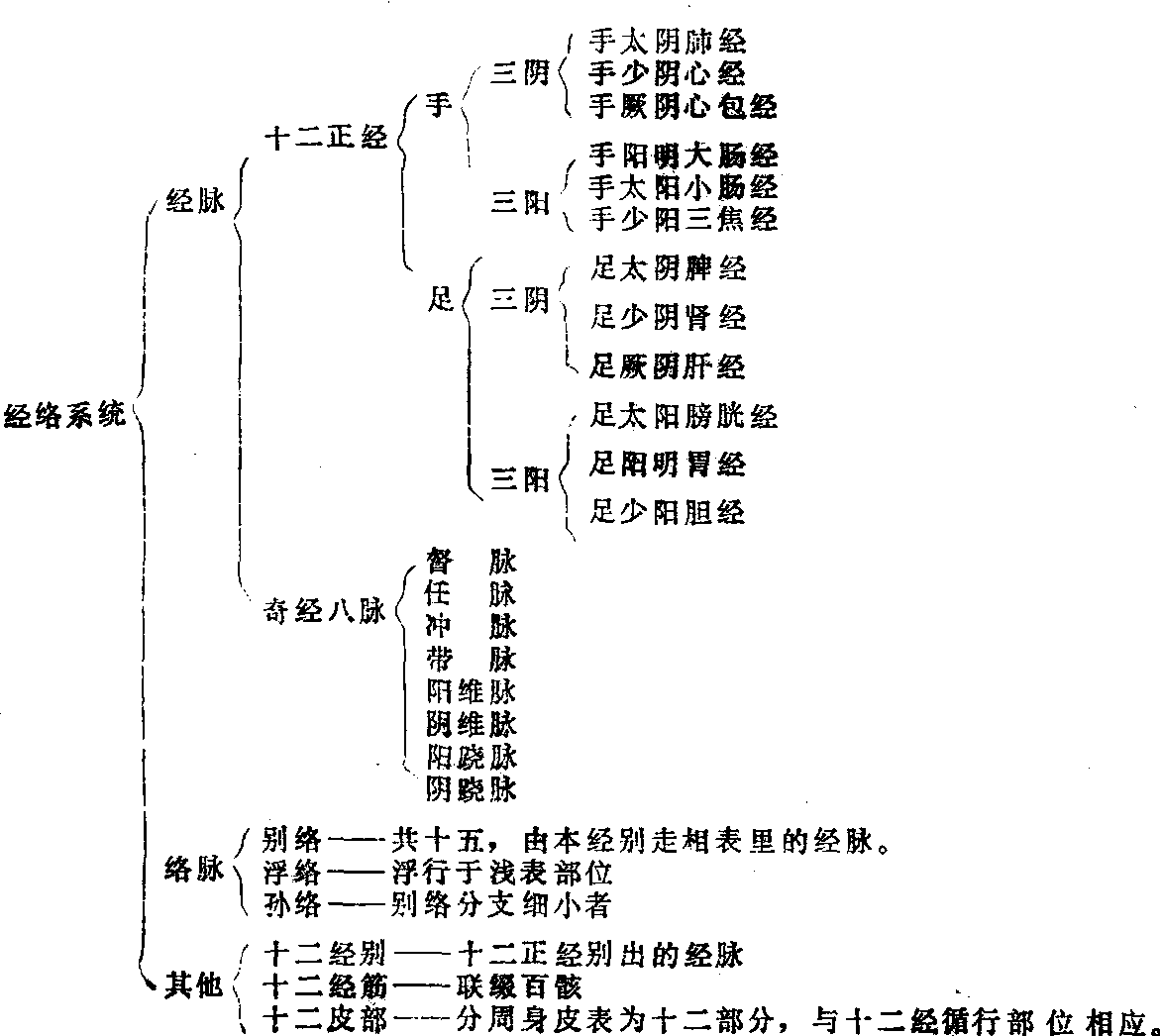 易筋经的经络运行图图片