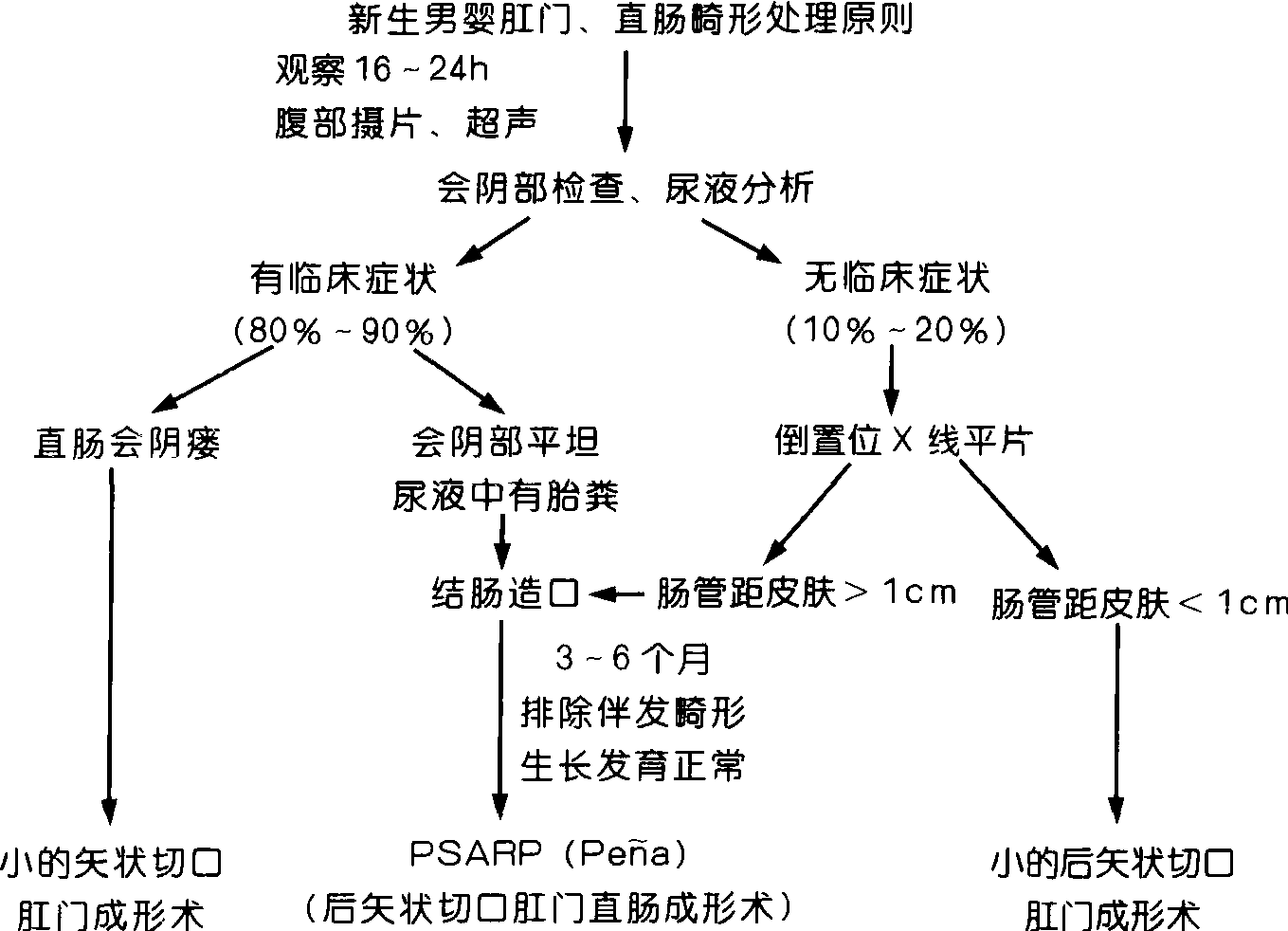 (一)新生男嬰肛門、直腸畸形處理原則