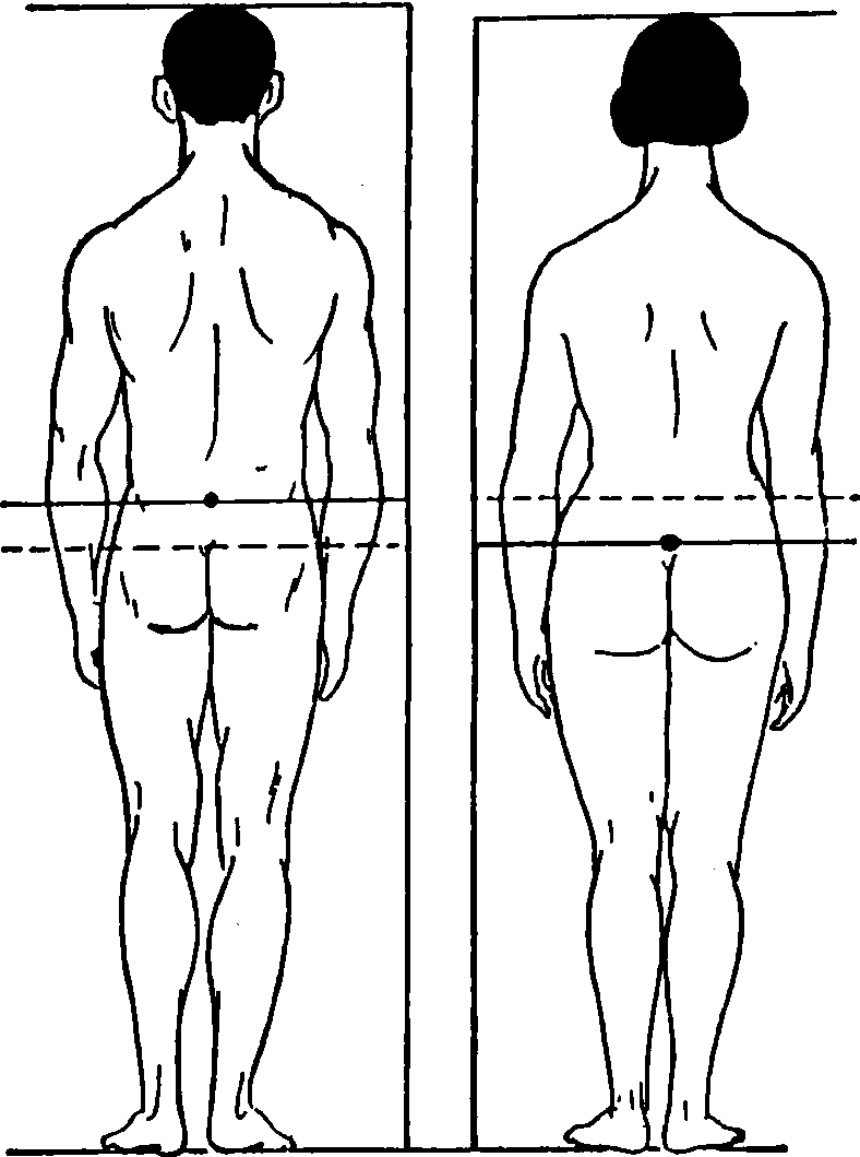 图4 男、女重心位置的差别