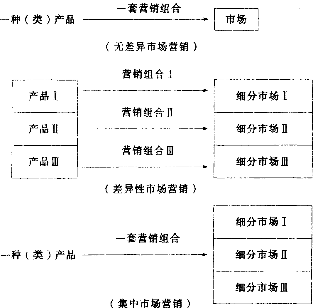 目标市场策略