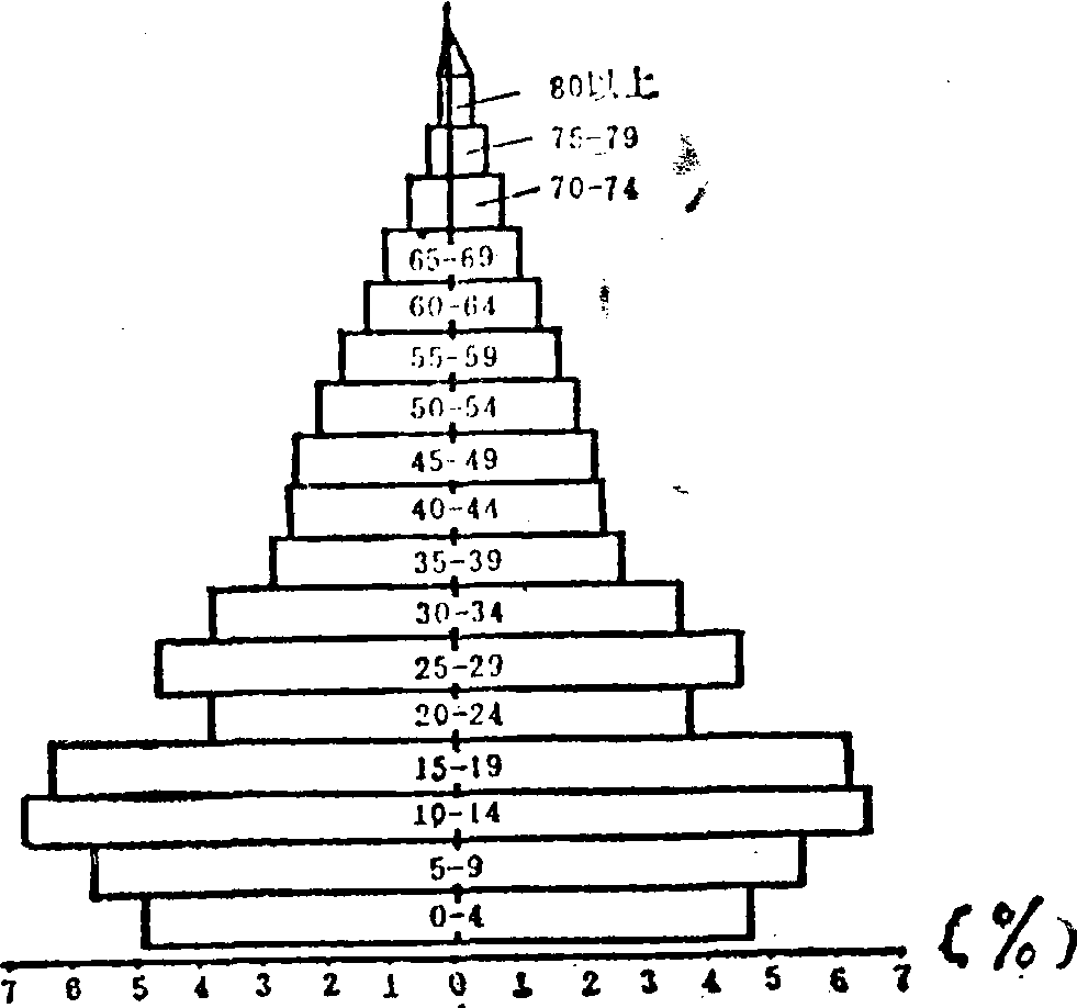 法国人口金字塔图片